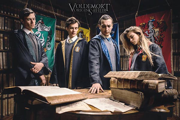 Voldemort Origins of the Heir