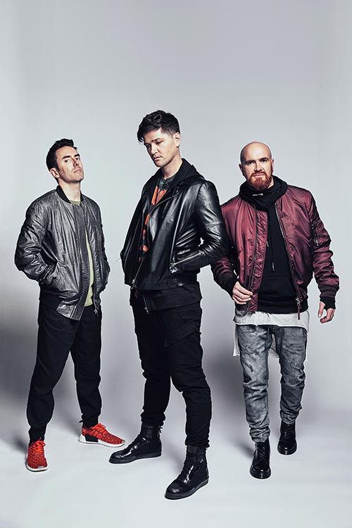 The Script