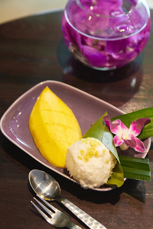 เมนูมะม่วง