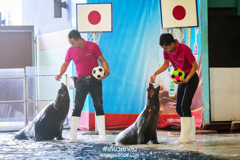 เที่ยวเขาดิน