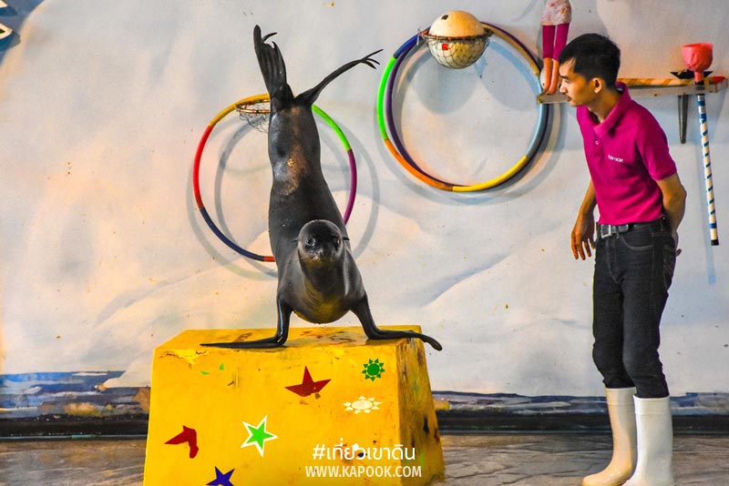 เที่ยวเขาดิน