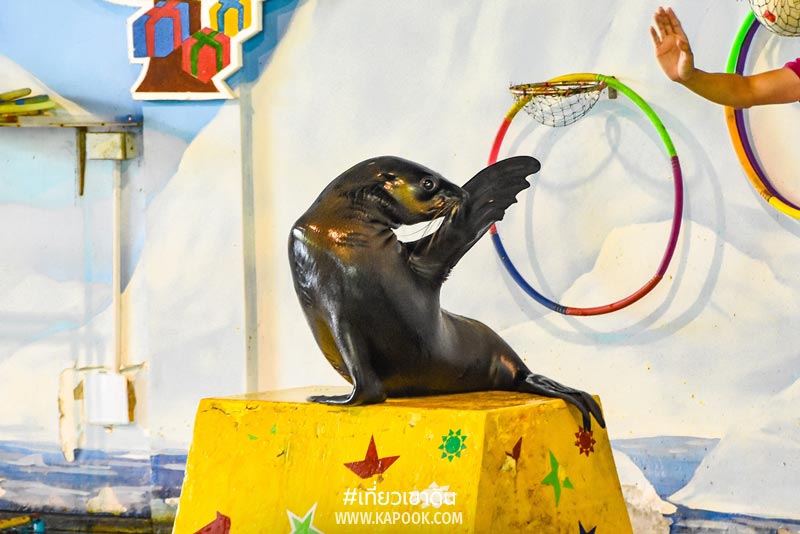 เที่ยวเขาดิน