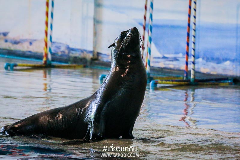 เที่ยวเขาดิน