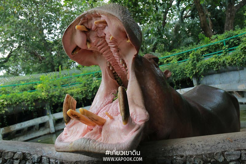 เที่ยวเขาดิน