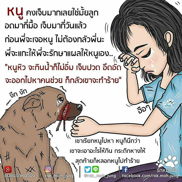 ทารุณหมา