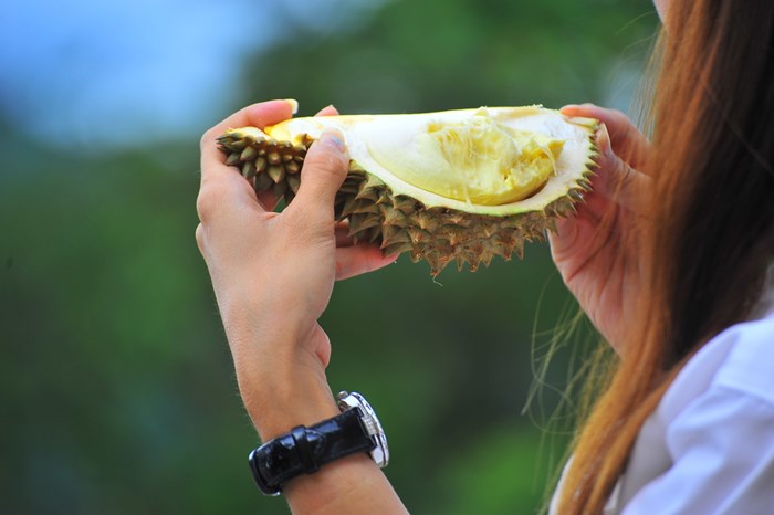 แคลอรีในทุเรียน