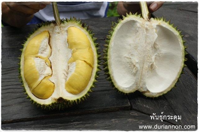 แคลอรีในทุเรียน