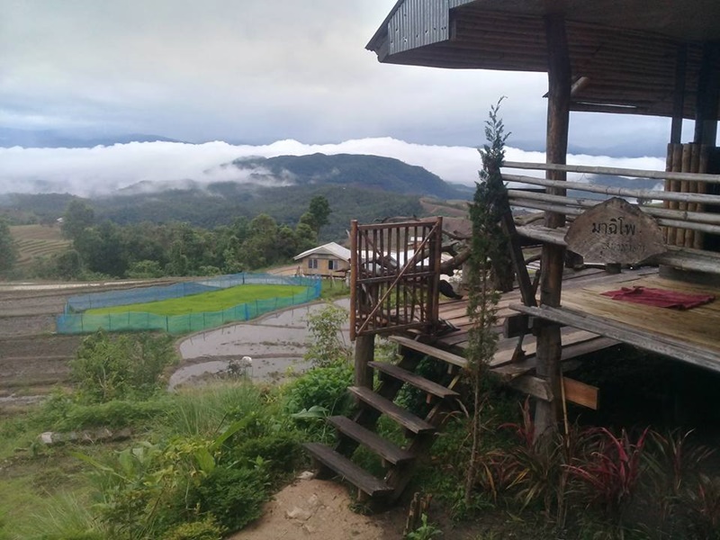 ที่พักโฮมสเตย์ เชียงใหม่