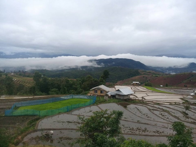 ที่พักโฮมสเตย์ เชียงใหม่