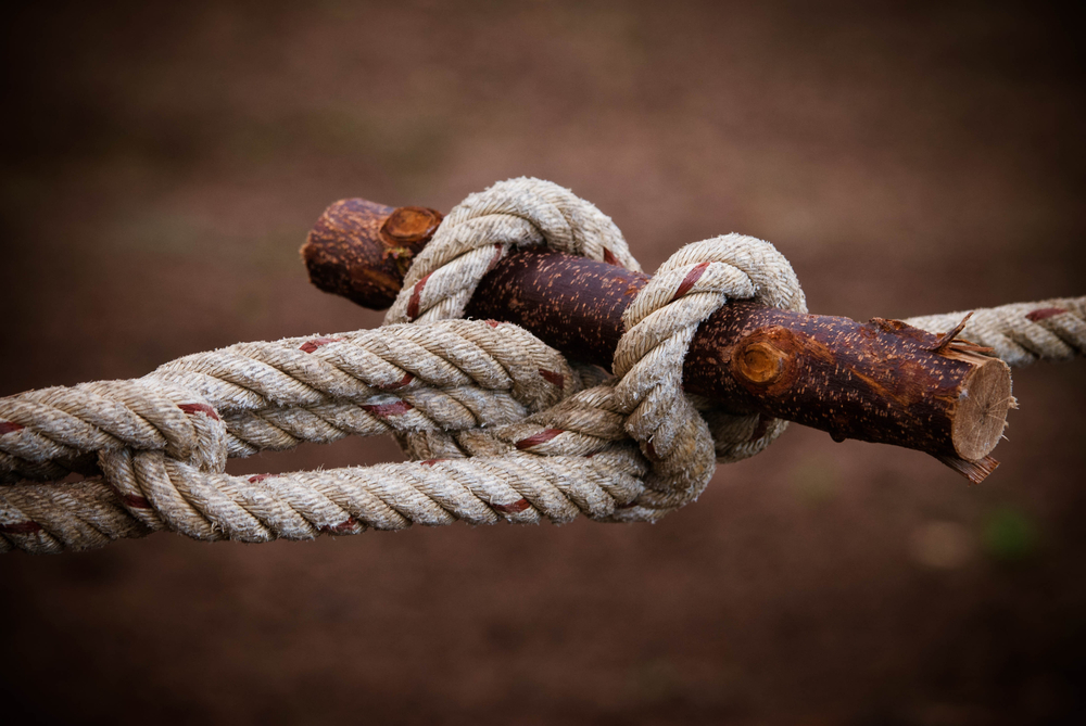 ถ้าเราหลงป่าจะทำยังไง