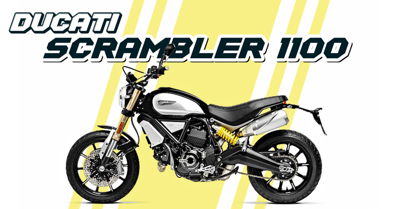 Ducati Scrambler 1100 ปี 2018