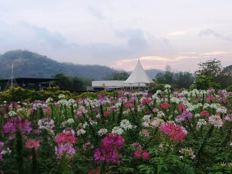 สวนดอกไม้ทั่วไทย