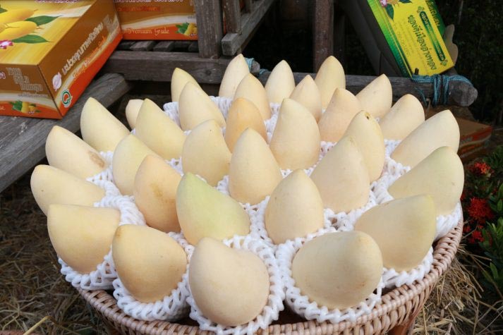 งานเกษตรและของดีเมืองอ่างทอง