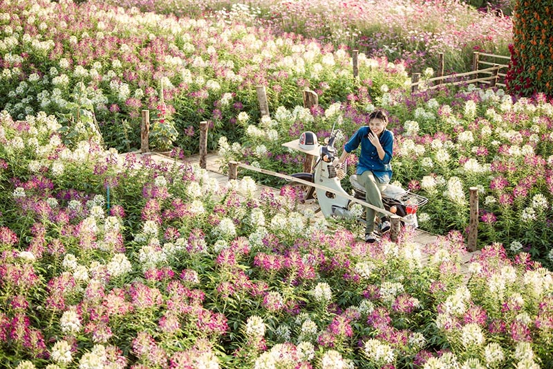 ที่เที่ยวกาญจนบุรี