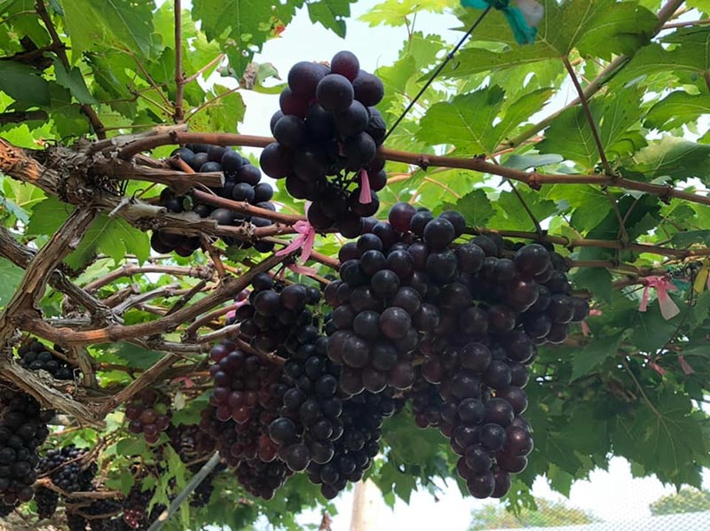 ที่เที่ยวกาญจนบุรี