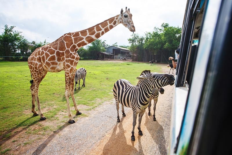ที่เที่ยวกาญจนบุรี