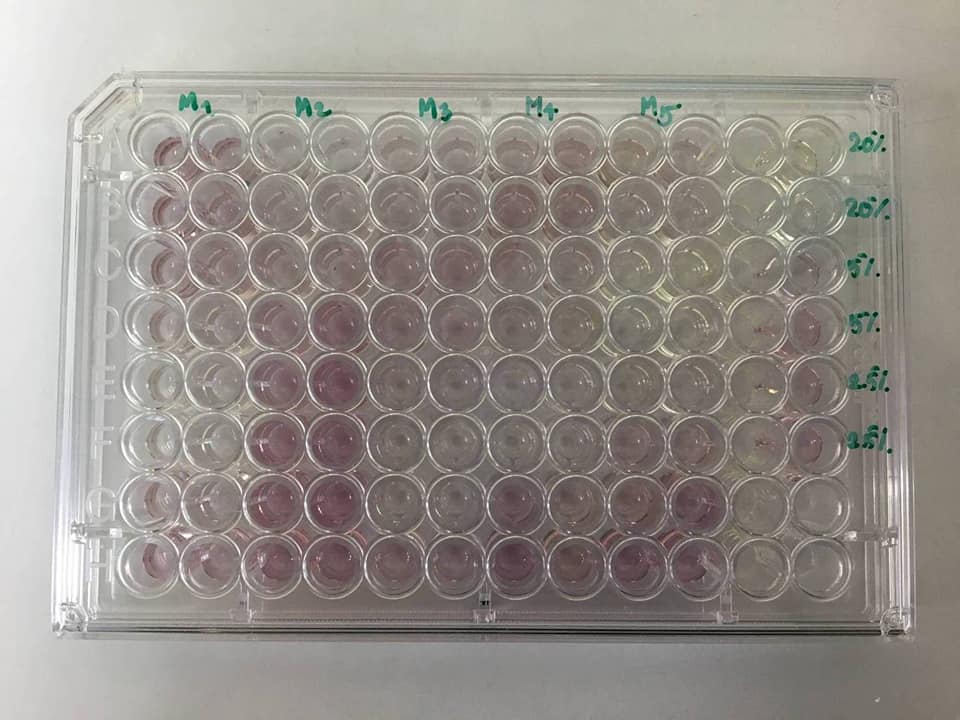 กัญชา รักษามะเร็ง