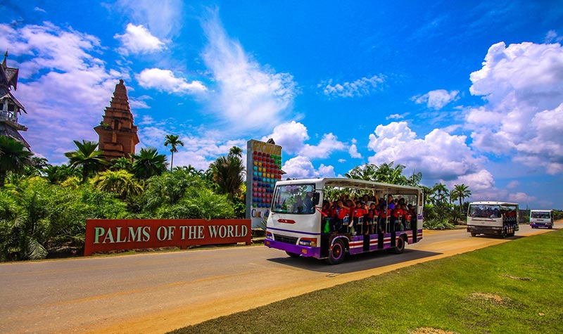 สวนปาล์ม