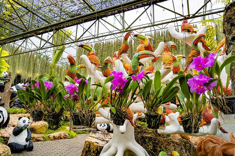 สวนกล้วยไม้