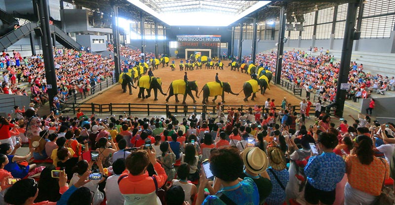 สวนนงนุช