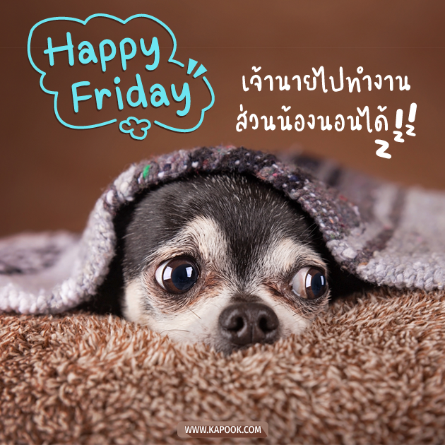 ดูดวงรายวัน