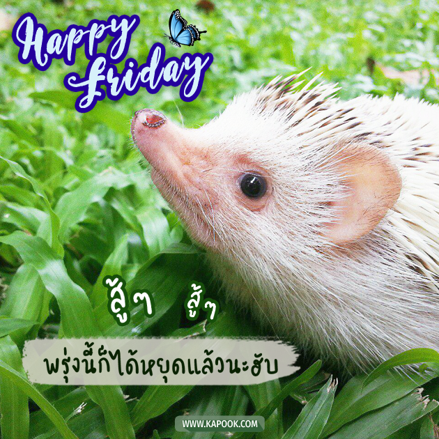 ดูดวงรายวัน