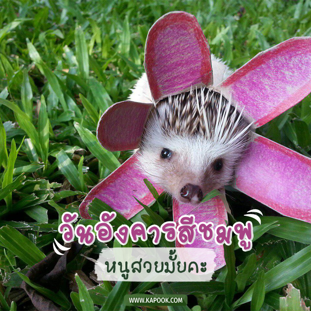 ดูดวงรายวัน