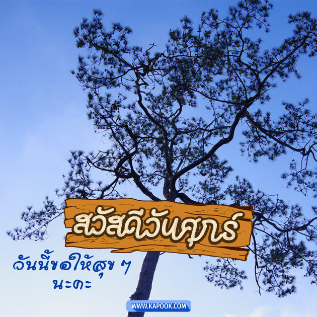 ดูดวงรายวัน