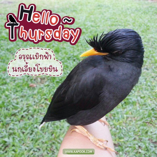 ดูดวงรายวัน