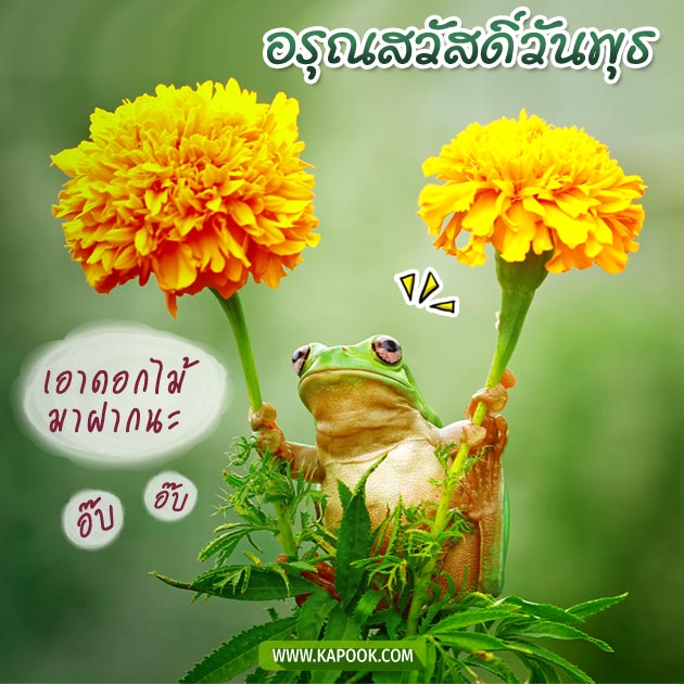 ดูดวงรายวัน