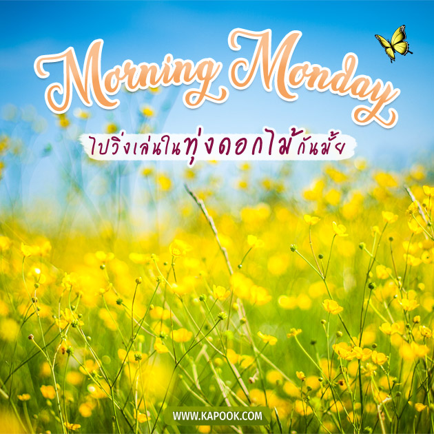 ดูดวงรายวัน