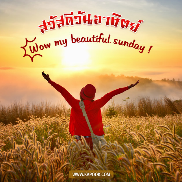 ดูดวงรายวัน