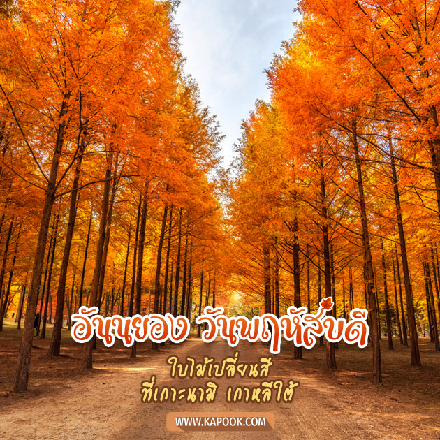 ดูดวงรายวัน