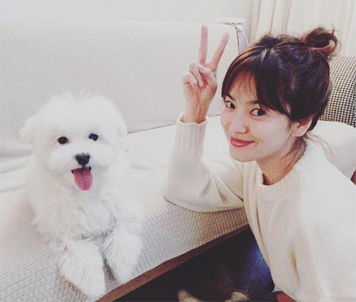 ซองเฮเคียว