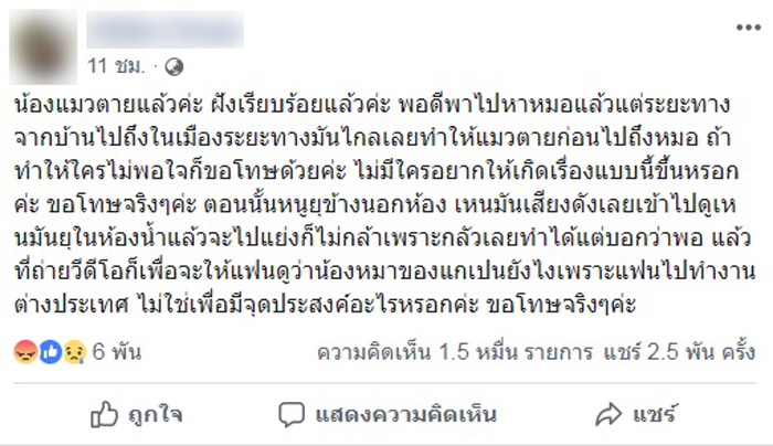 หมากัดแมว