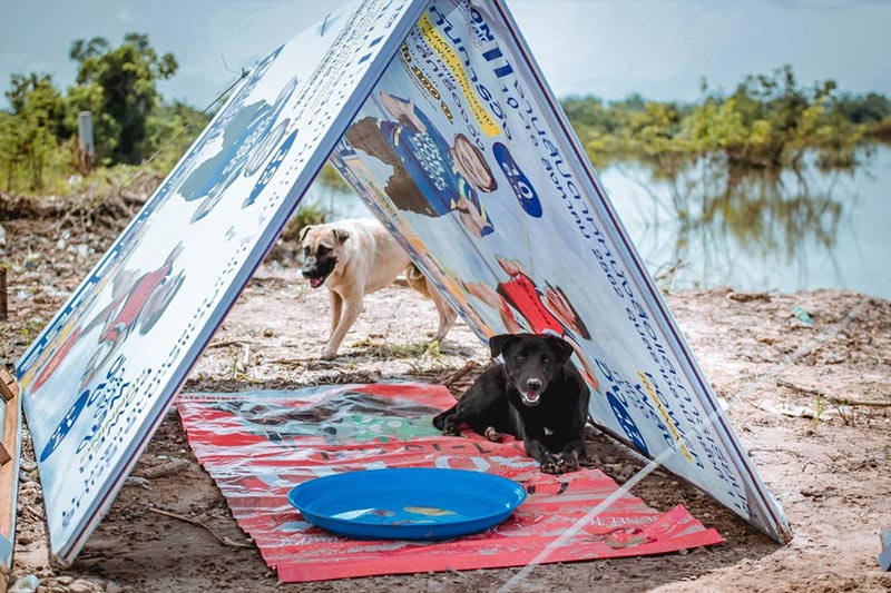 สร้างบ้านให้หมาจรจัด น้ำท่วมอุบลฯ