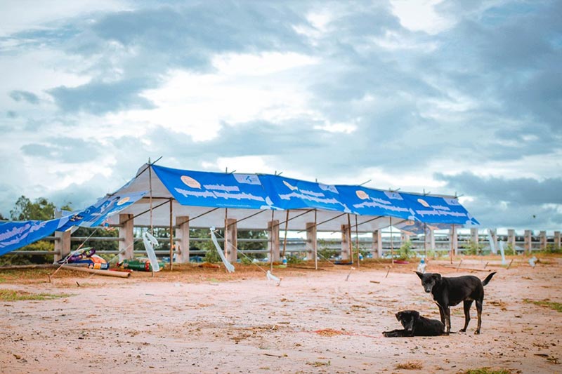 สร้างบ้านให้หมาจรจัด น้ำท่วมอุบลฯ