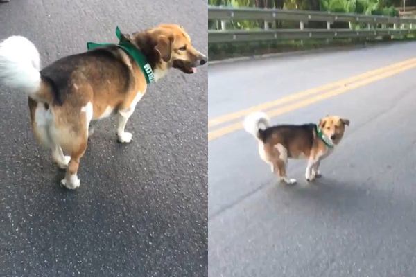 รับน้องขึ้นดอย มช.