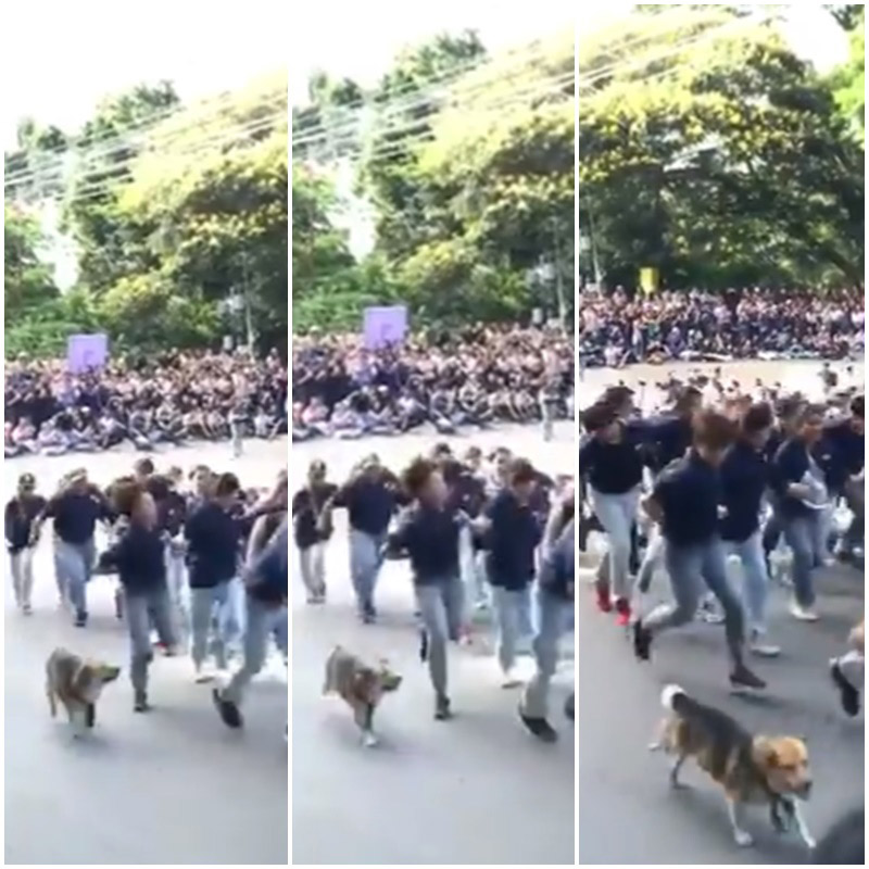 รับน้องขึ้นดอย มช.