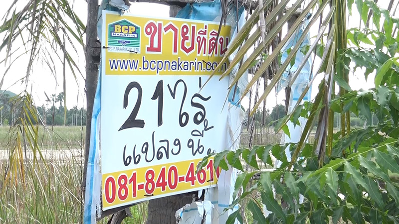 ที่ดินแม่แพรวา