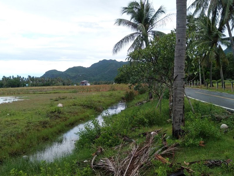 ที่ดินแม่แพรวา