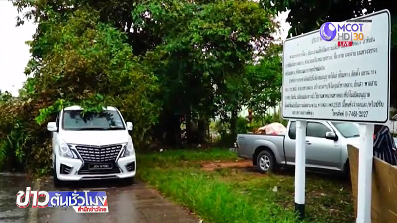 ต้นไม้ล้มทับรถ