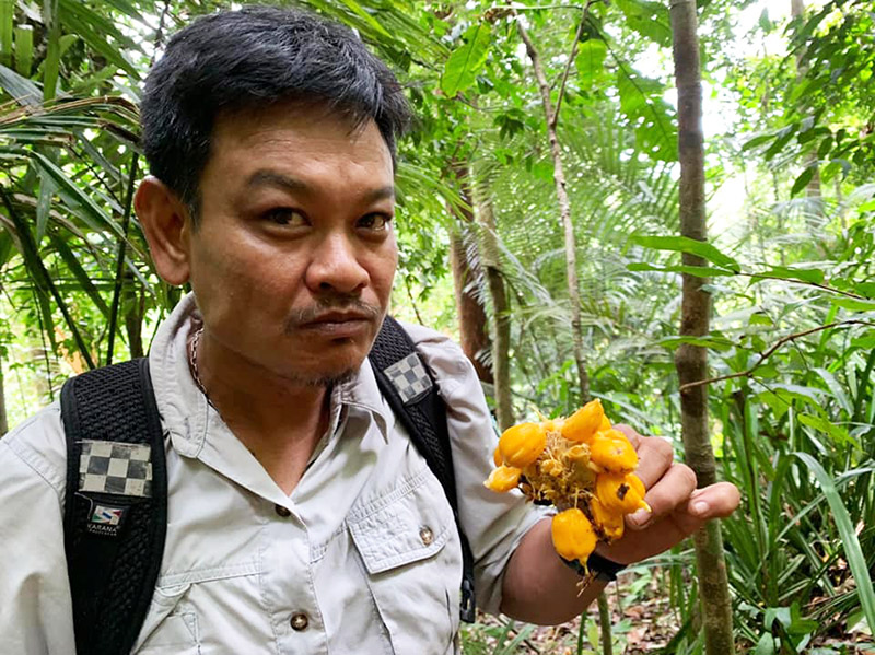 ล่านกชนหิน สัตว์ป่าคุ้มครอง