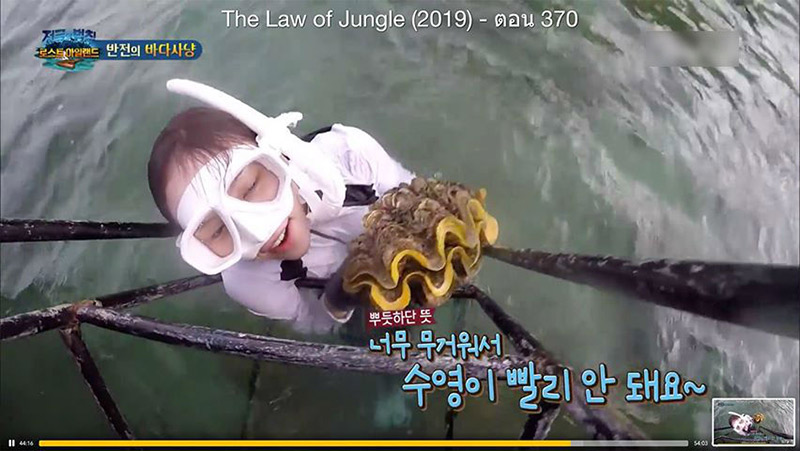 รายการเกาหลีจับหอยมือเสือกิน