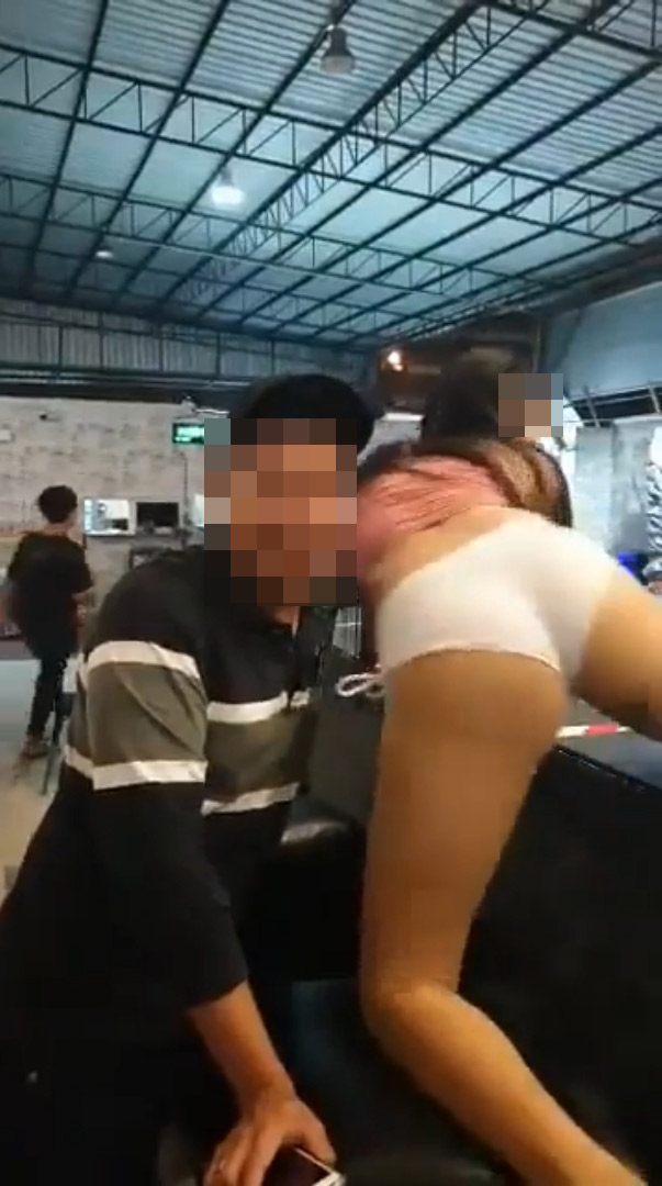 โคโยตี้บ่อตกกุ้ง