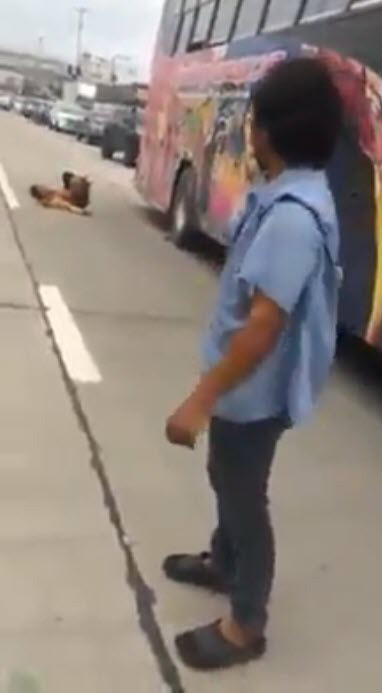 รถบัสทับวินขาขาด