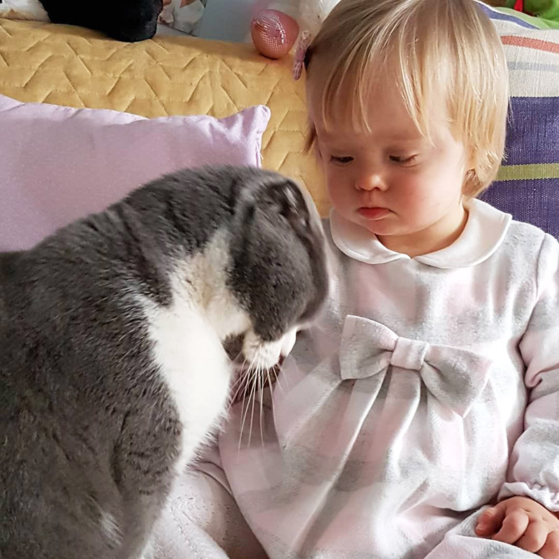 เด็กดาวน์ซินโดรม