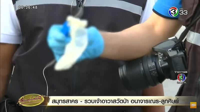 เจ้าอาวาสข่มขืนเณร