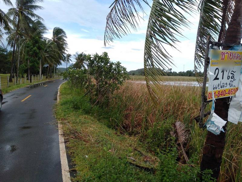 ที่ดินแม่แพรวา