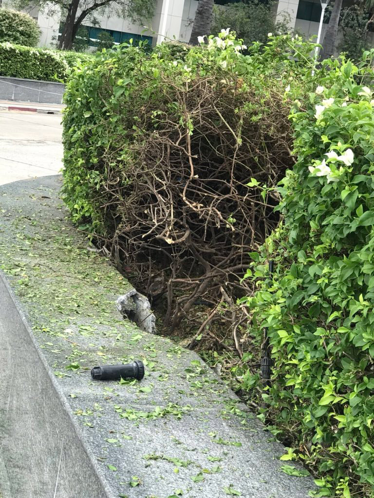 ระเบิดศูนย์ราชการแจ้งวัฒนะ